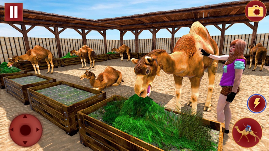 骆驼家庭生活模拟器